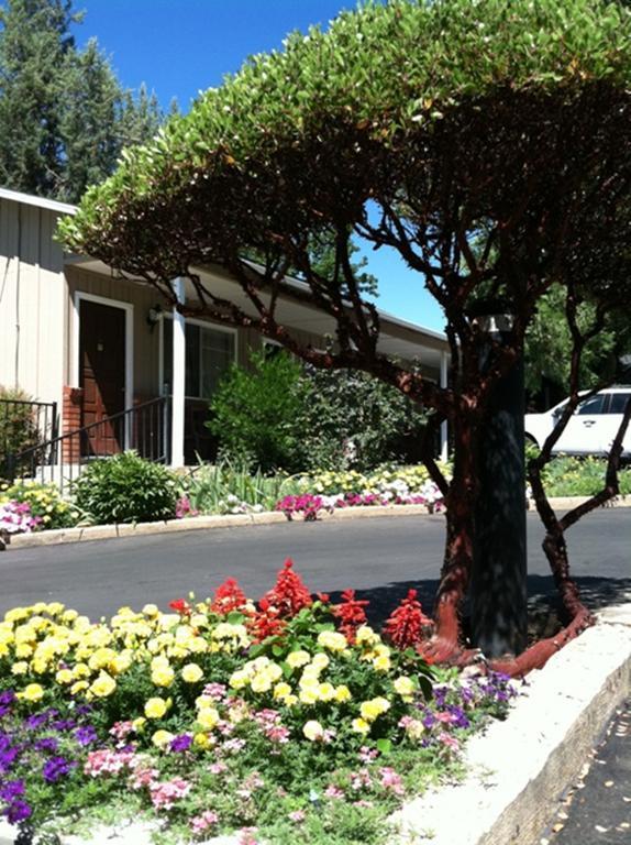 America'S Best Value Inn Mariposa Lodge Екстер'єр фото
